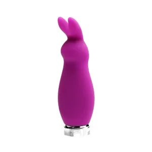 Crazzy Bunny Mini Vibe